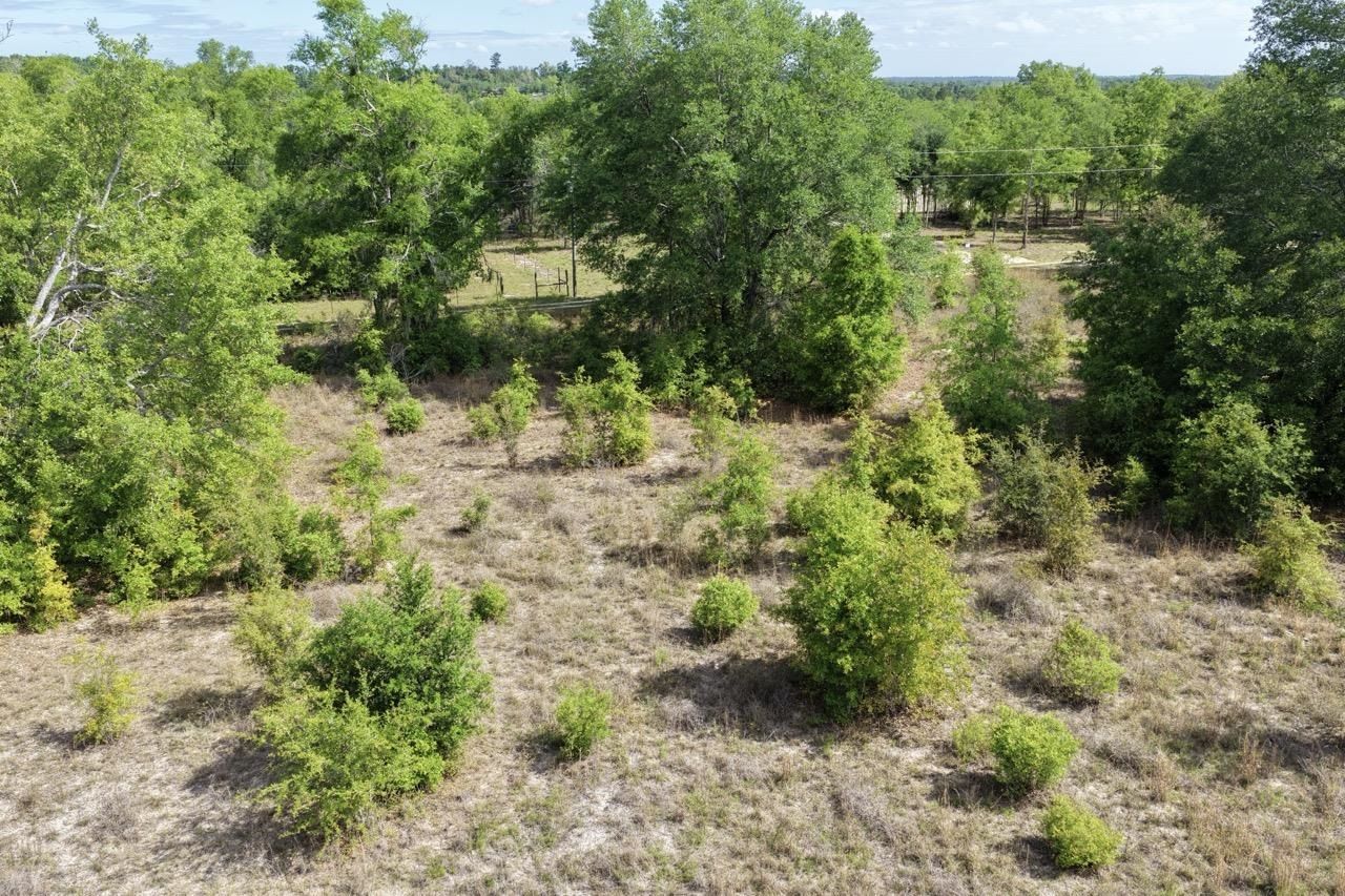 Vacant NE Cedar Trail, Pinetta, FL 00000 Photo