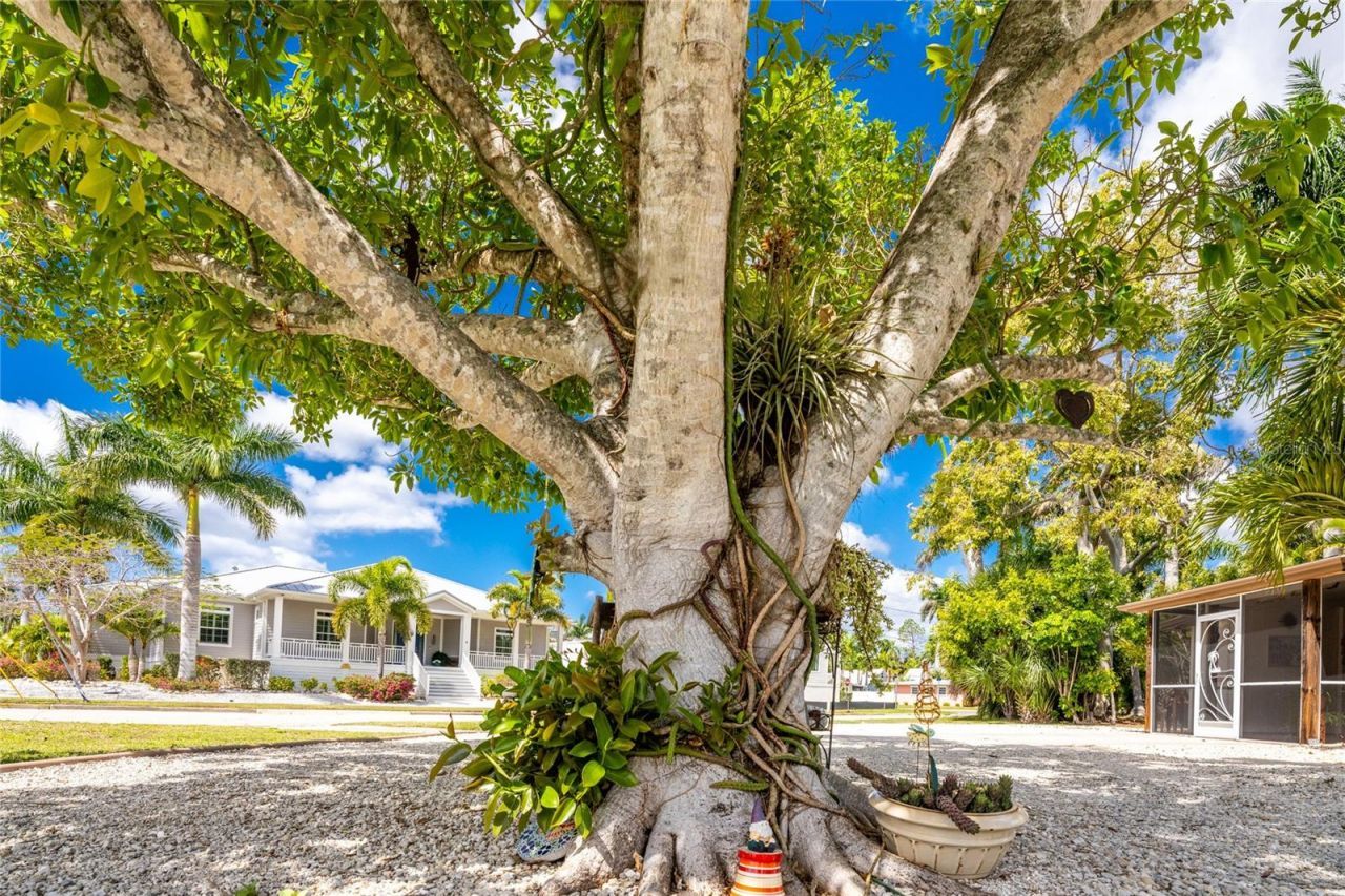 312 Mcgregor Street, Punta Gorda, FL 33950 Photo