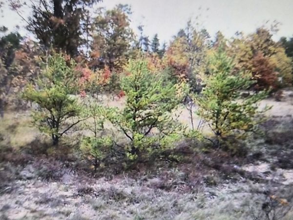 Lot 2 Northwood Drive, Grayling, MI 49738