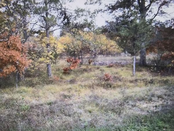 Lot 4 Northwood Drive, Grayling, MI 49738