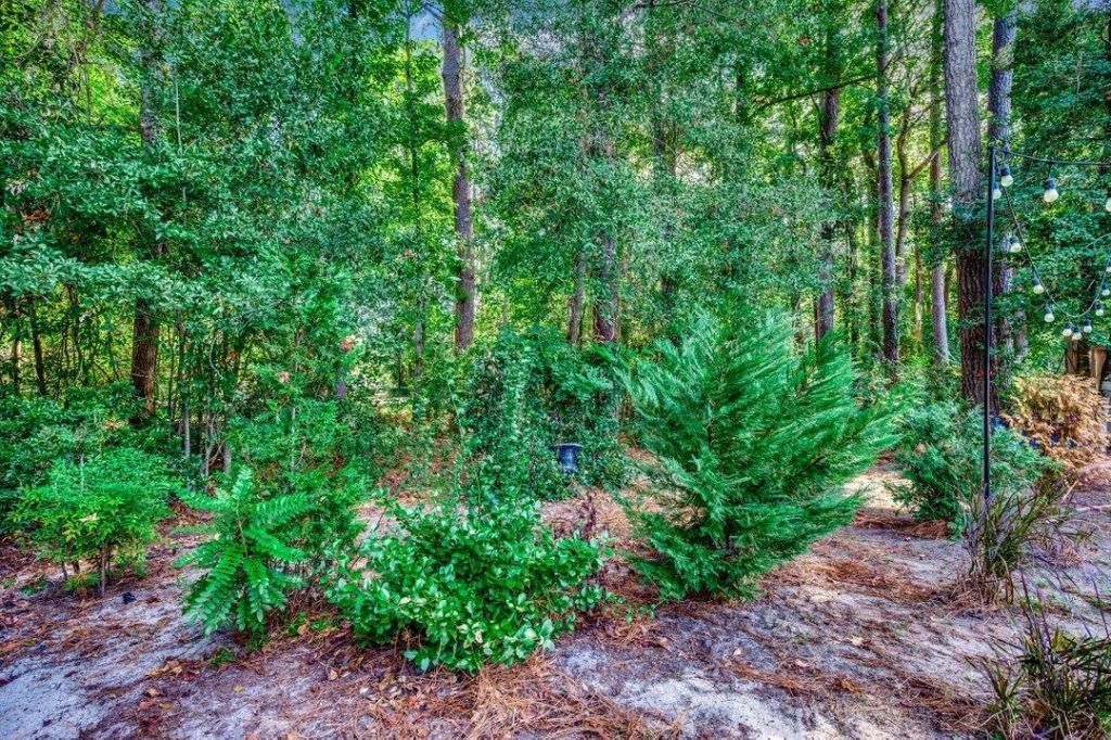 109 Hickory Dr. Photo 19