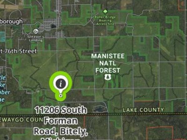 11206 S Forman Road, Idlewild, MI 49642