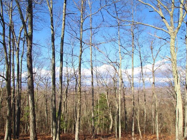 Lot 21 Wildwood Rdg, Caldwell, WV 24925