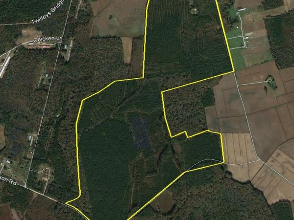 0 BEAR SWAMP ROAD , PARSONSBURG, MD 21849