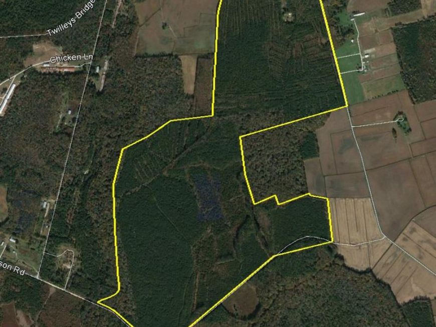 0 Bear Swamp Road , Parsonsburg, MD 21849 Main Photo