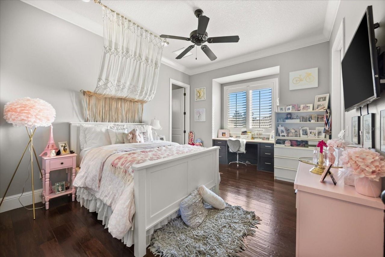 12411 Montalcino Circle, Windermere, FL 34786 Photo