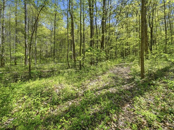 0 Green Road , Beechgrove, TN 37018