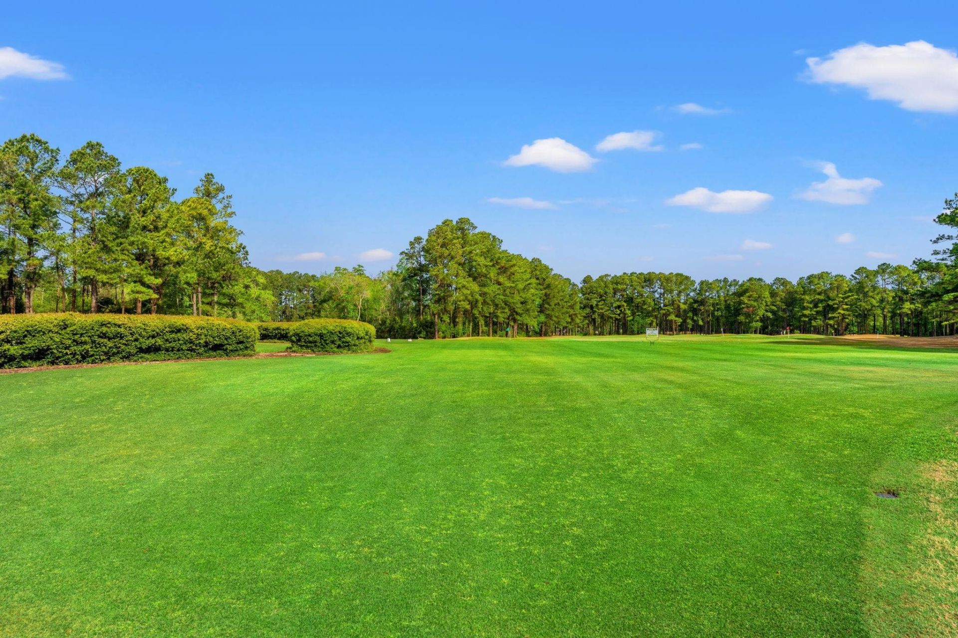 808 Stone Pine Ct. Photo 35