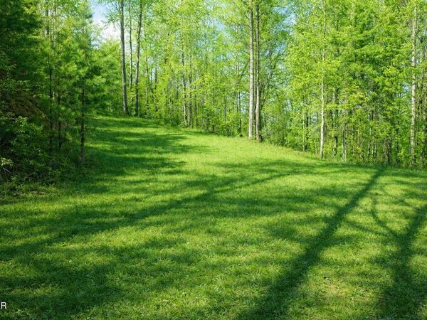 Lot 41 Black Maple Way, Del Rio, TN 37727