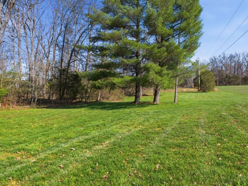 166 Rigdon Road, West Union, OH 45693 Photo 15