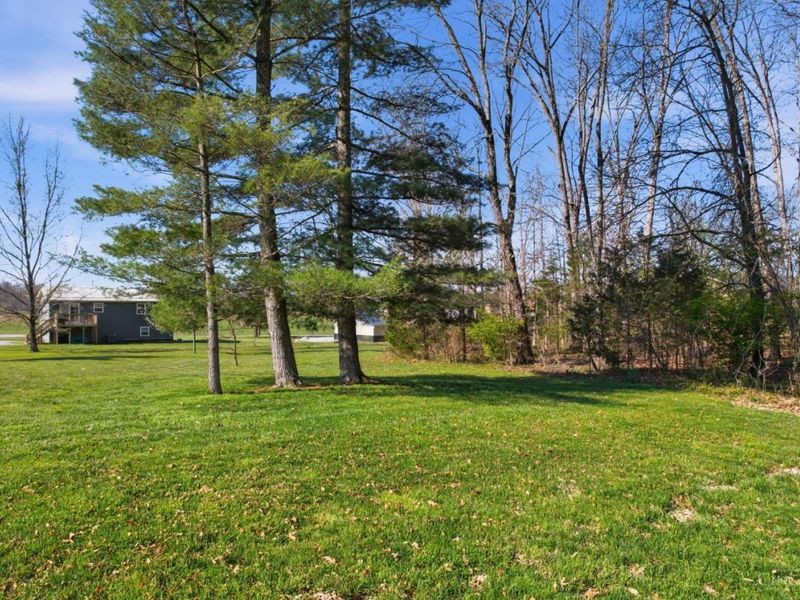 166 Rigdon Road, West Union, OH 45693 Photo 16