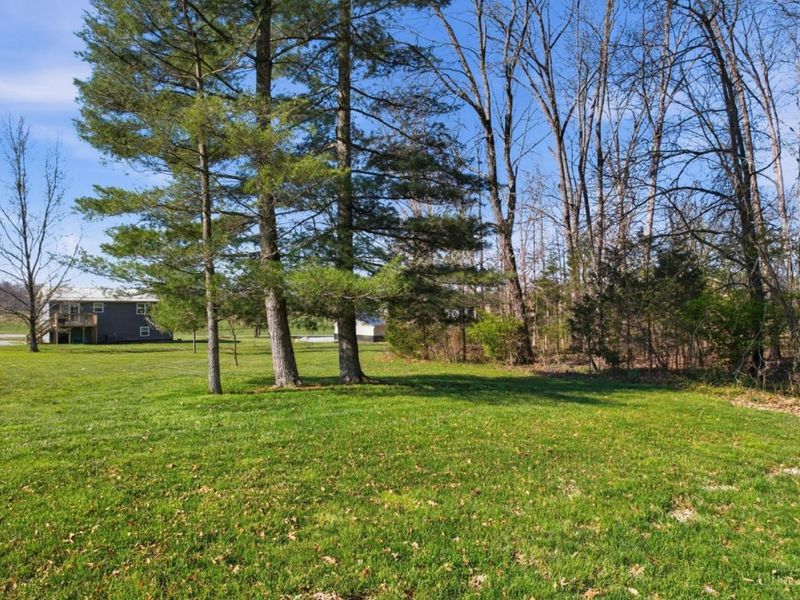 166 Rigdon Road, West Union, OH 45693 Photo 18