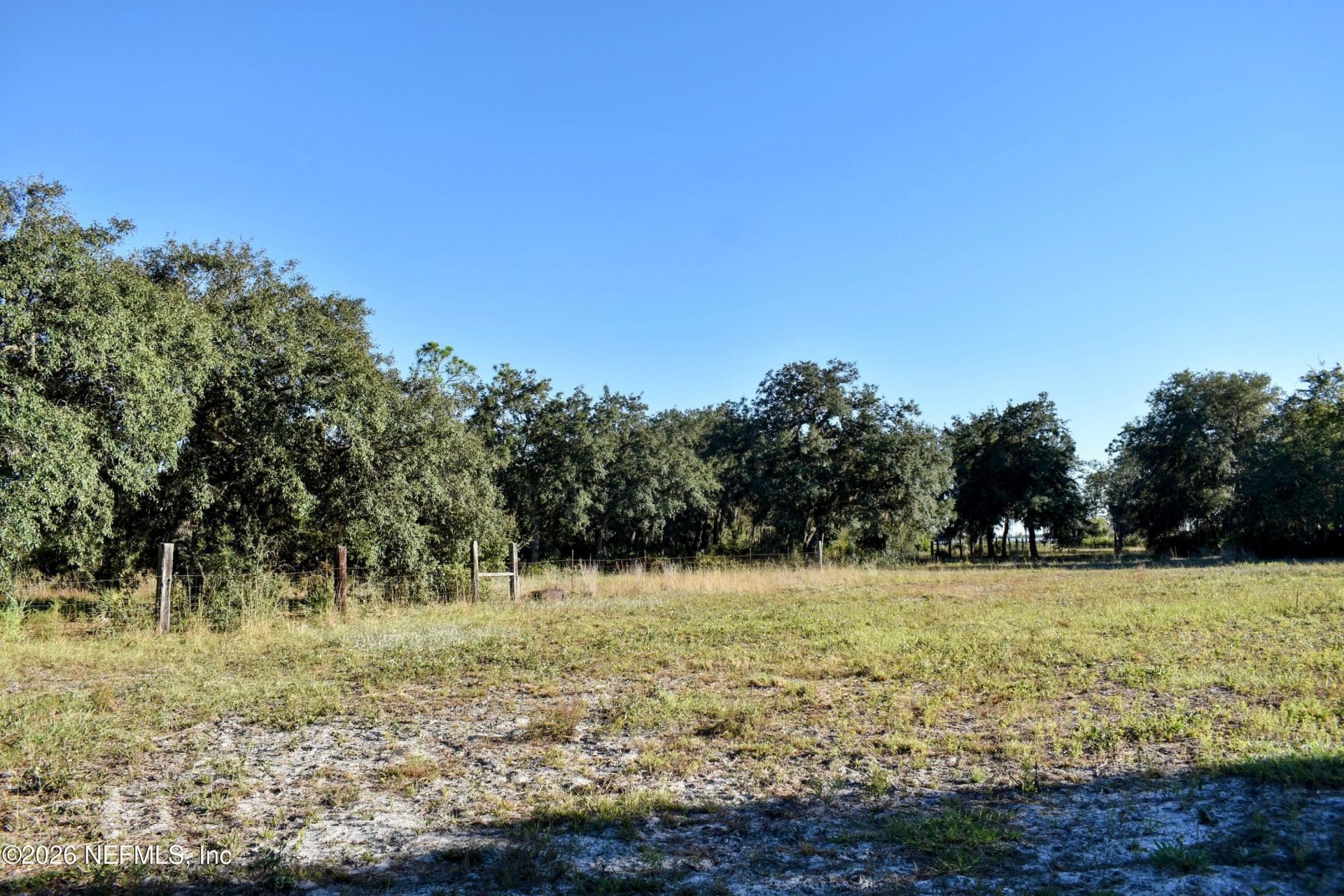 224 Rodeo Drive, Interlachen, FL 32148 Photo