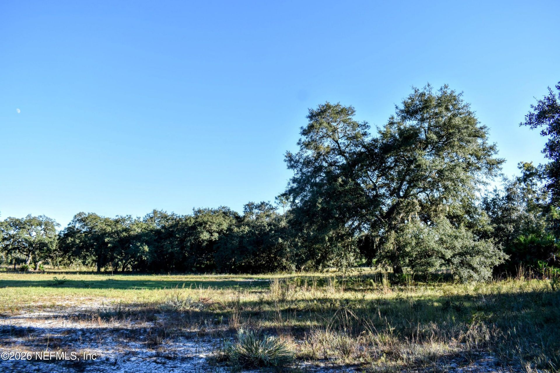 224 Rodeo Drive, Interlachen, FL 32148 Photo