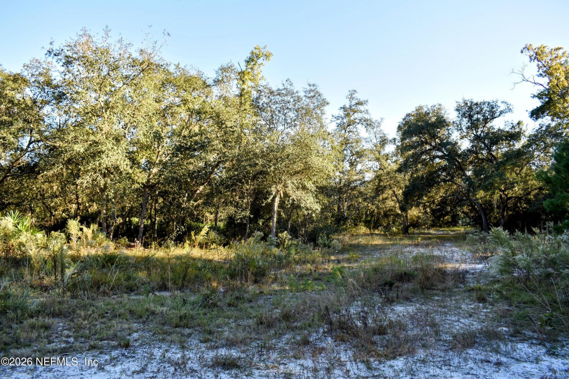 224 Rodeo Drive, Interlachen, FL 32148 Photo