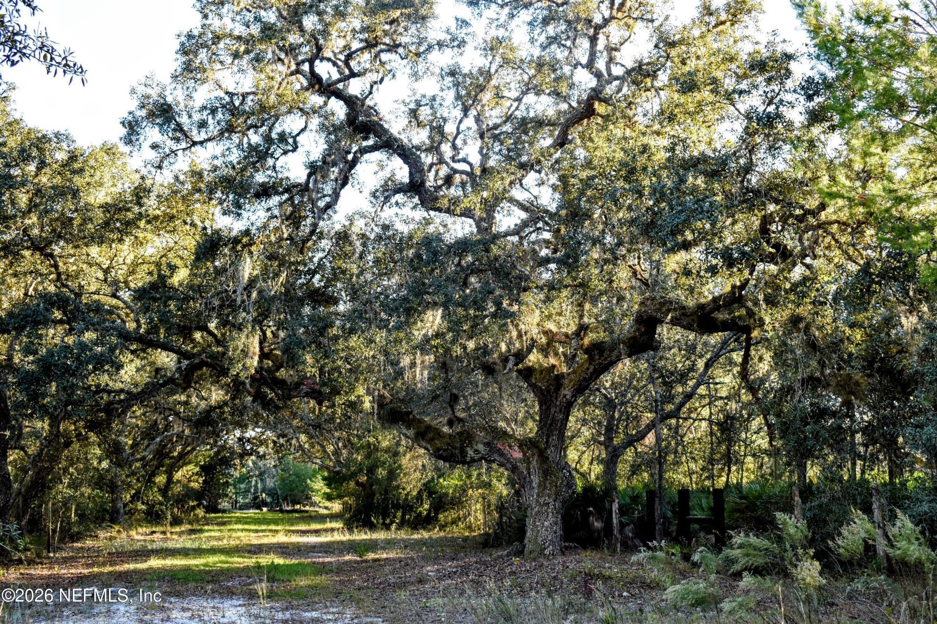 224 Rodeo Drive, Interlachen, FL 32148 Photo