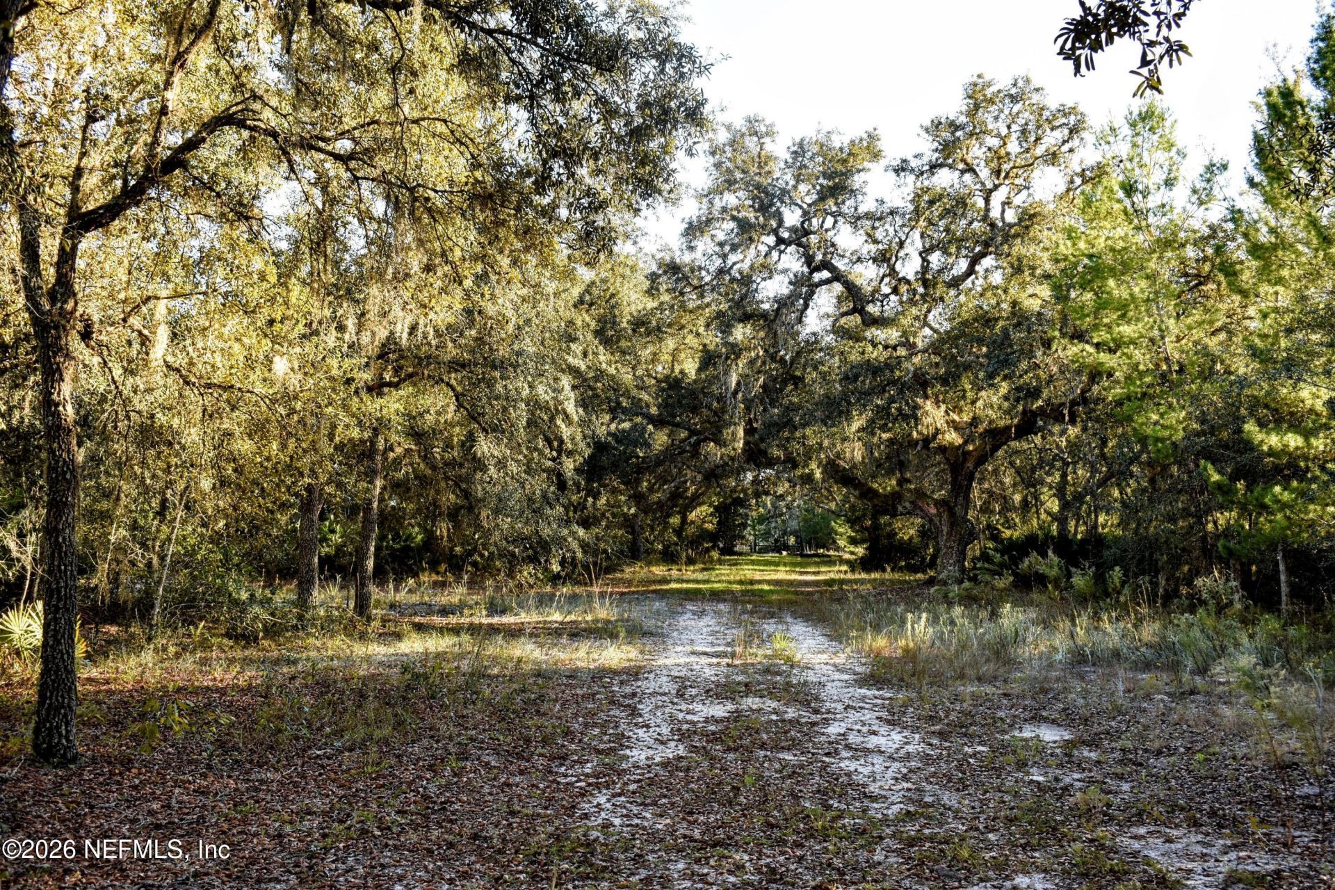 224 Rodeo Drive, Interlachen, FL 32148 Photo