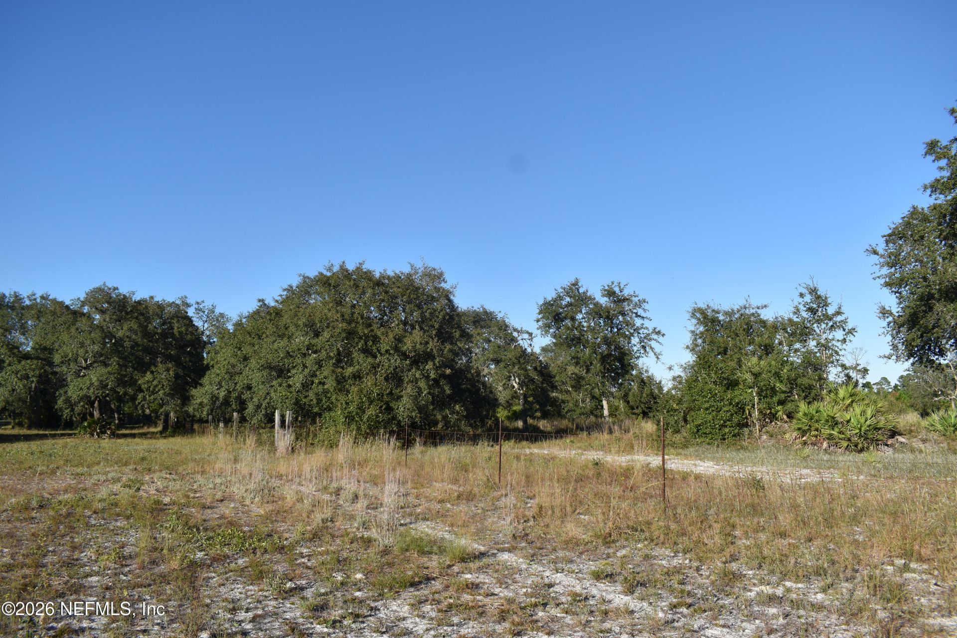 224 Rodeo Drive, Interlachen, FL 32148 Photo