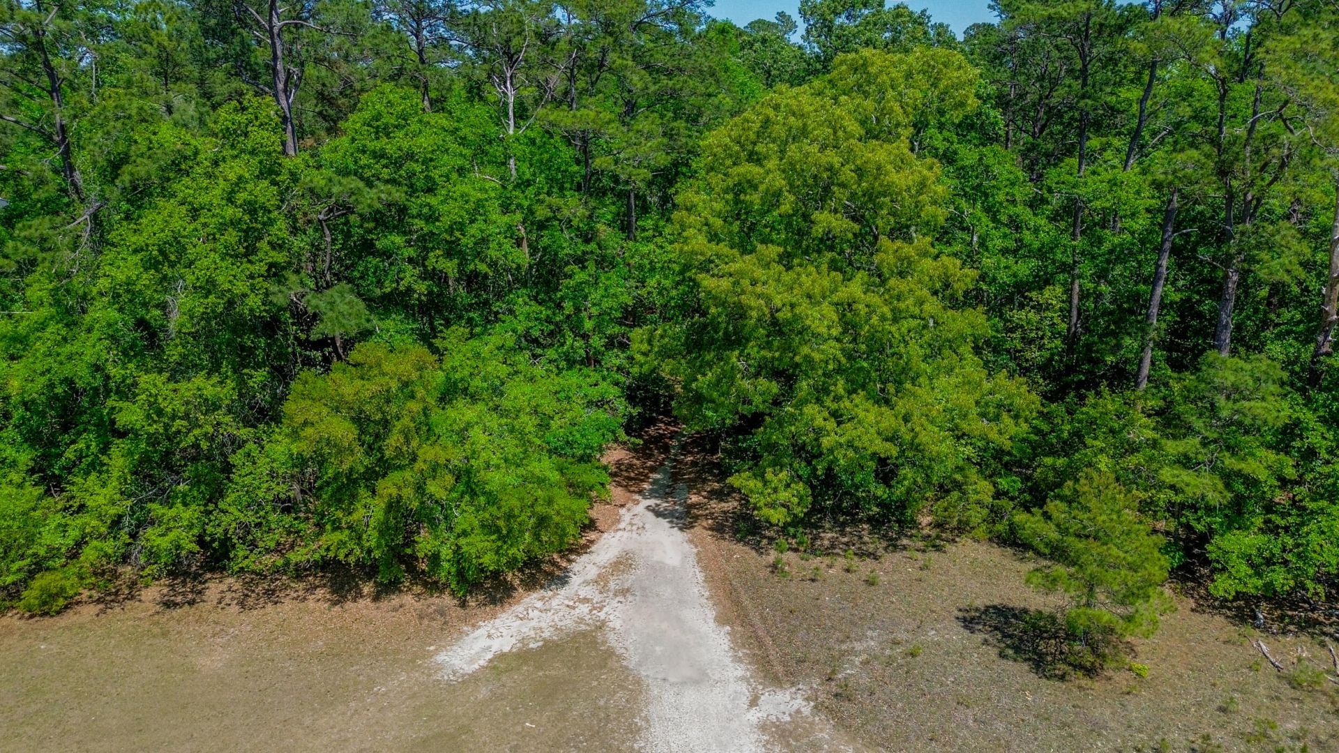 18 Dogwood Lane Photo 4