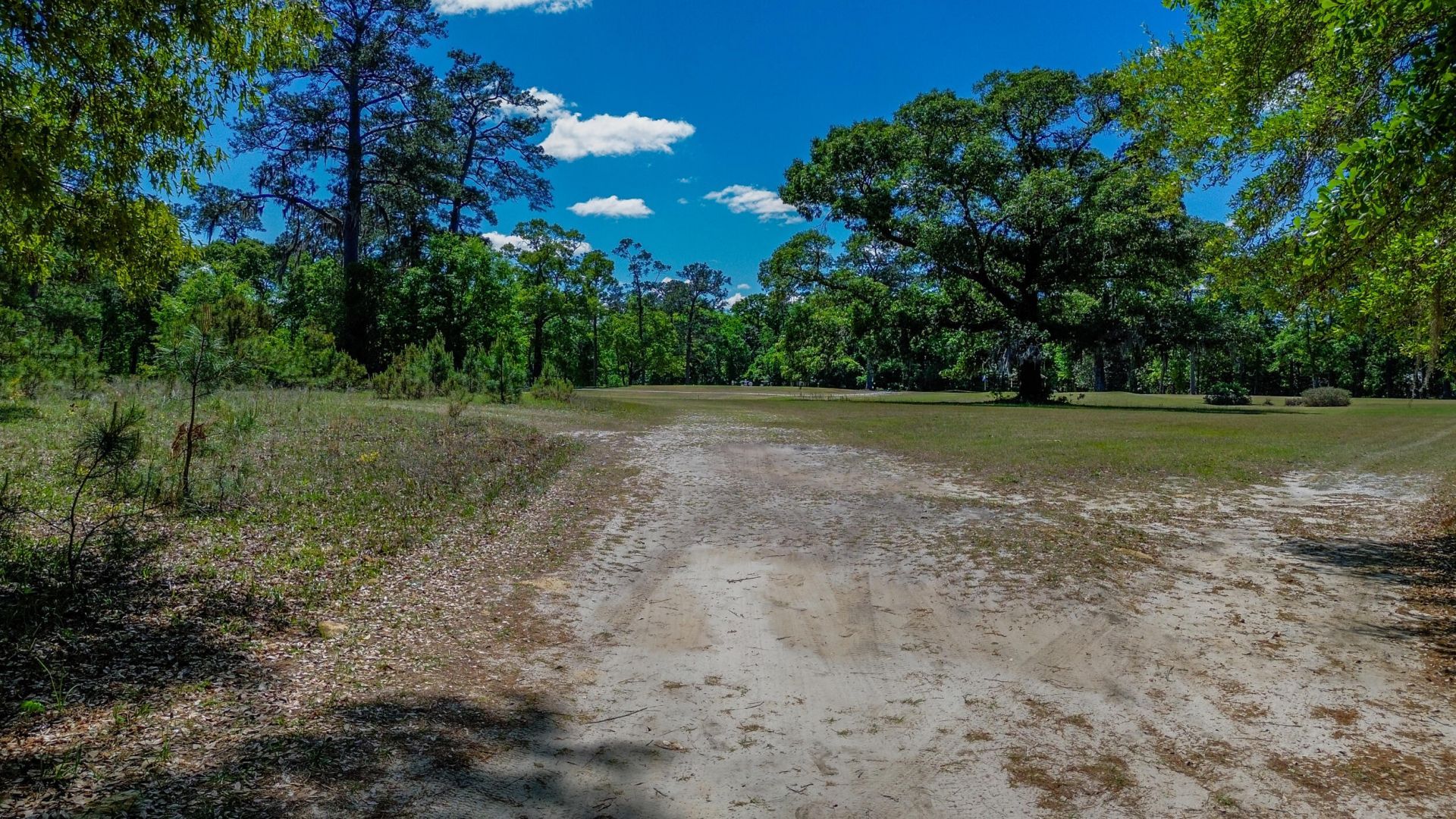 18 Dogwood Lane Photo 6