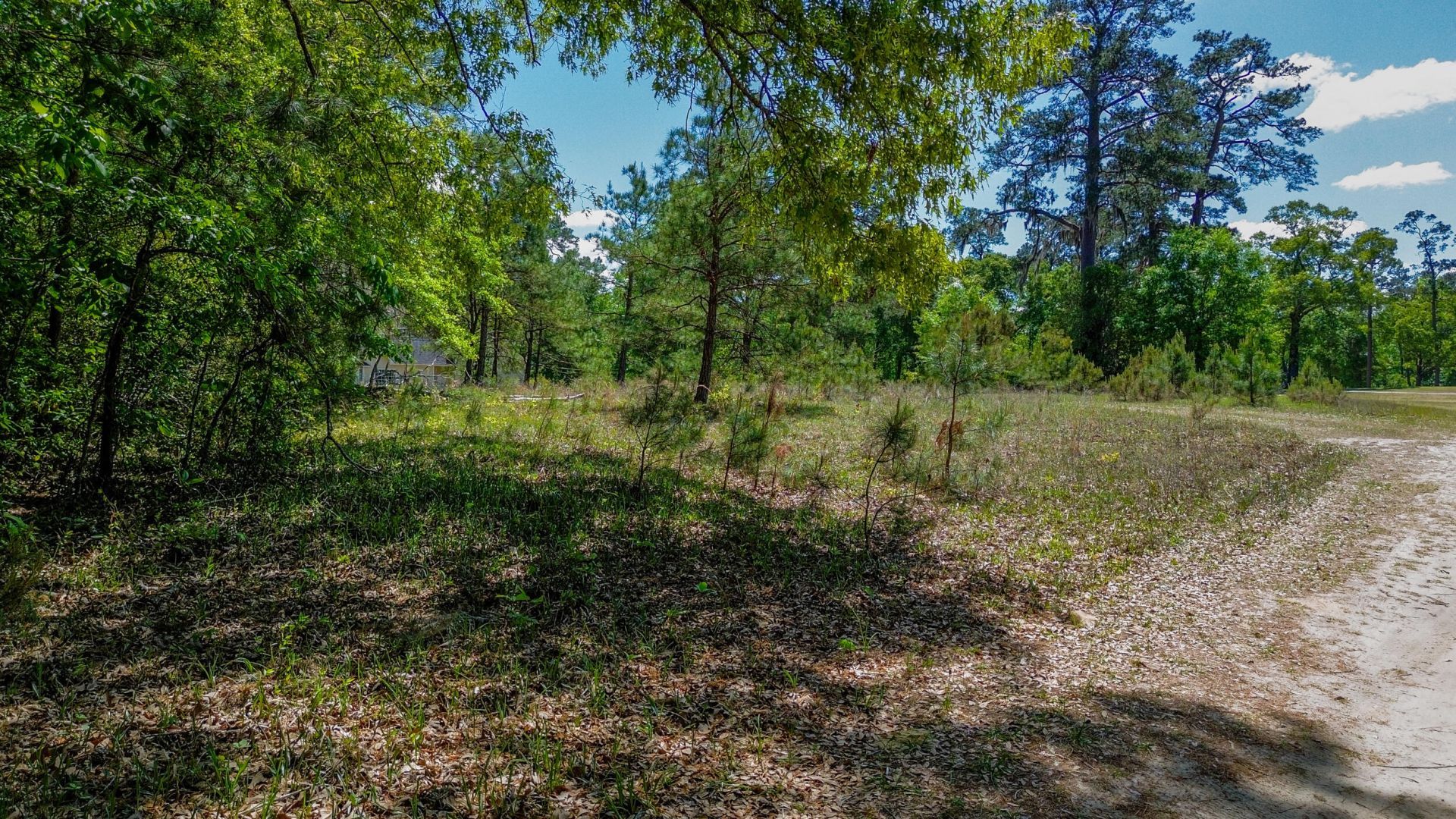 18 Dogwood Lane Photo 7