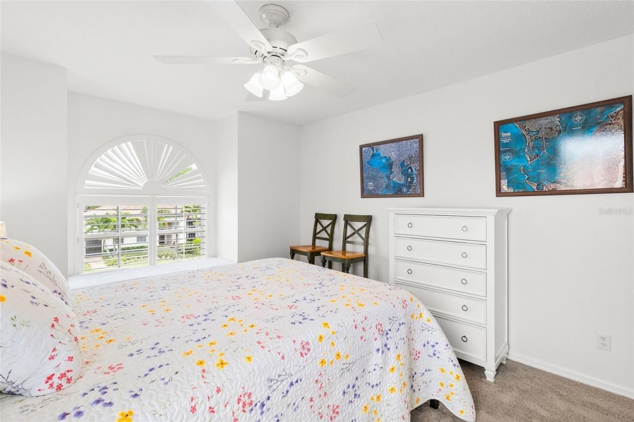 4815 Queen Palm Terrace Ne, Saint Petersburg, FL 33703 Photo
