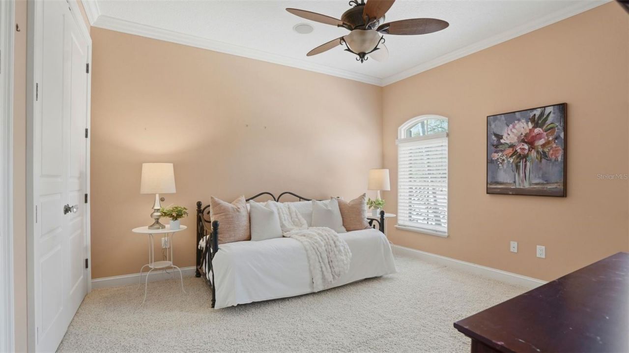 6755 30th Street S, Saint Petersburg, FL 33712 Photo