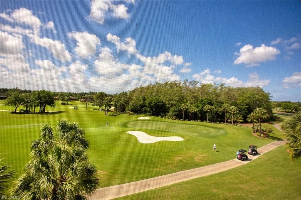 10453 Washingtonia Palm Way, Unit 3343, Fort Myers, FL 33966 Photo