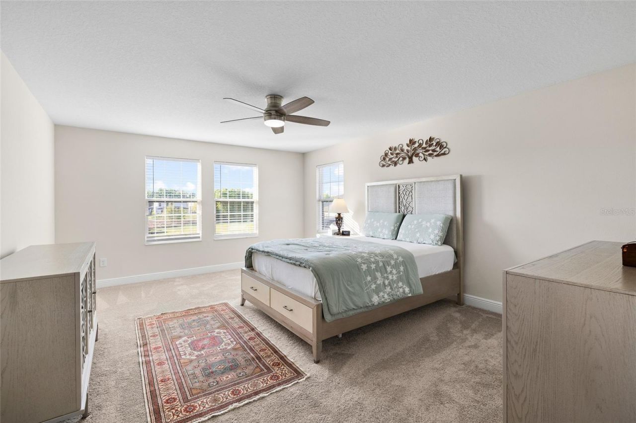 12970 Steed Trace Loop, Lithia, FL 33547 Photo