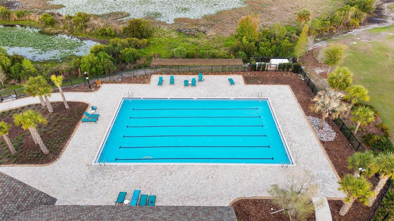 12970 Steed Trace Loop, Lithia, FL 33547 Photo