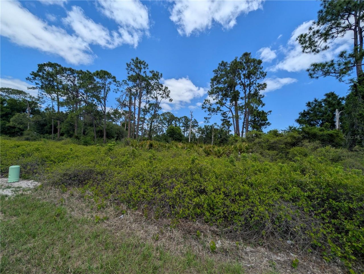 784 Washington Boulevard Ne, Lake Placid, FL 33852 Photo