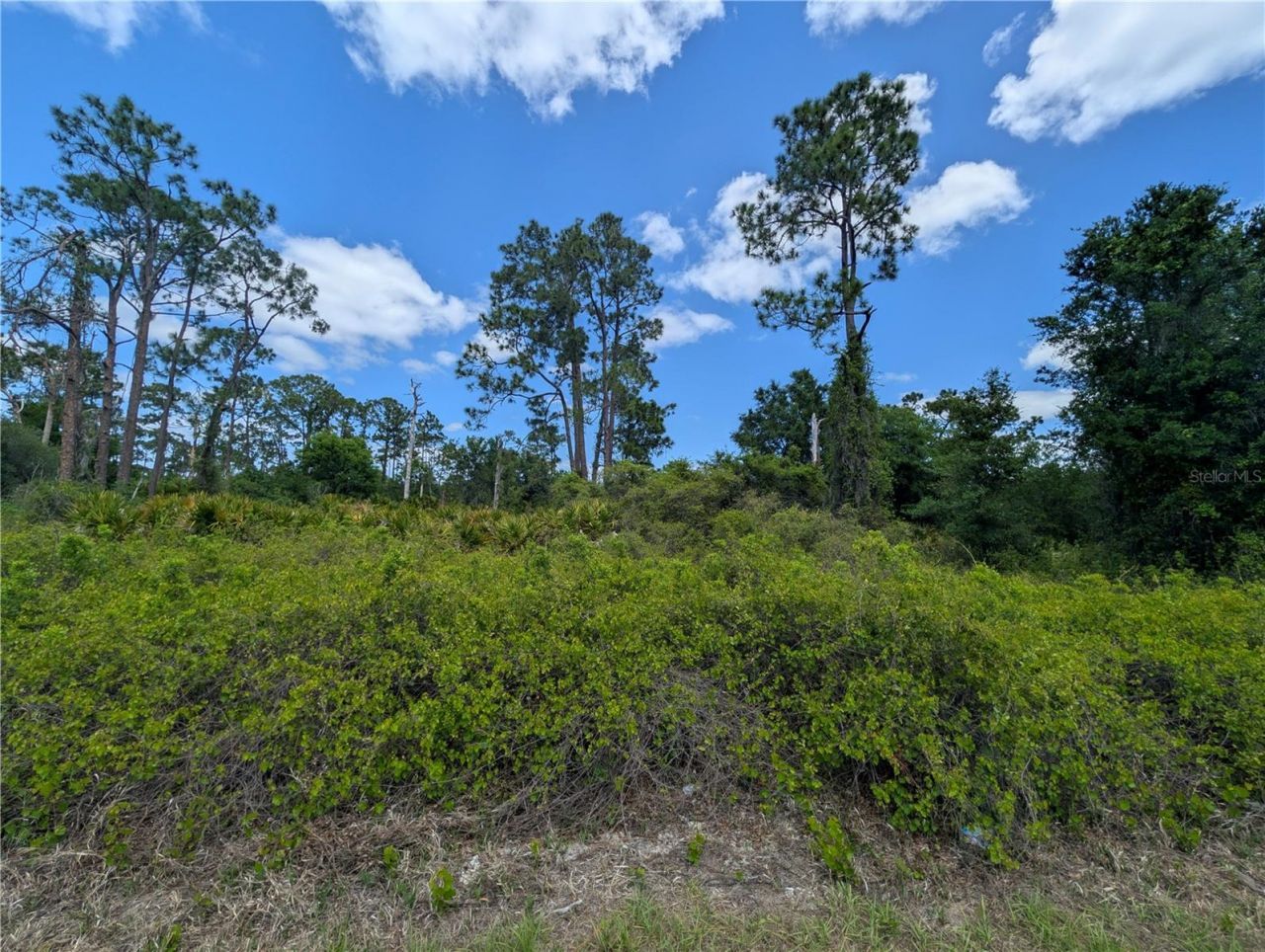784 Washington Boulevard Ne, Lake Placid, FL 33852 Photo