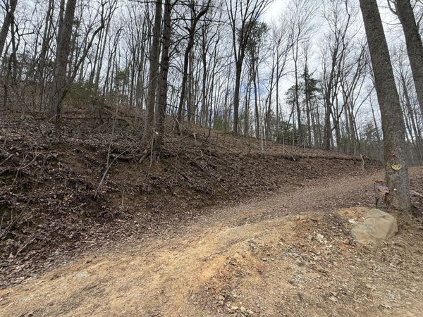 4.1 Reece Hollow Road, Del Rio, TN 37727