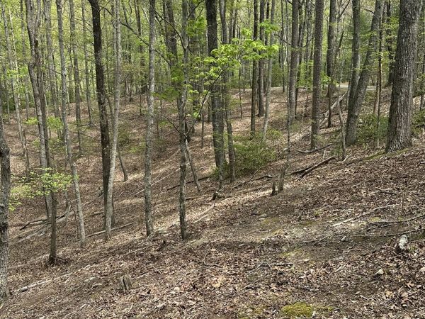 LT B87 Laurel Lane, Ellijay, GA 30536
