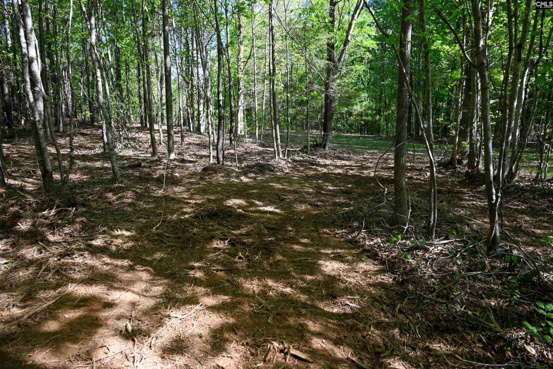 Tbd Spalding Drive Photo 10