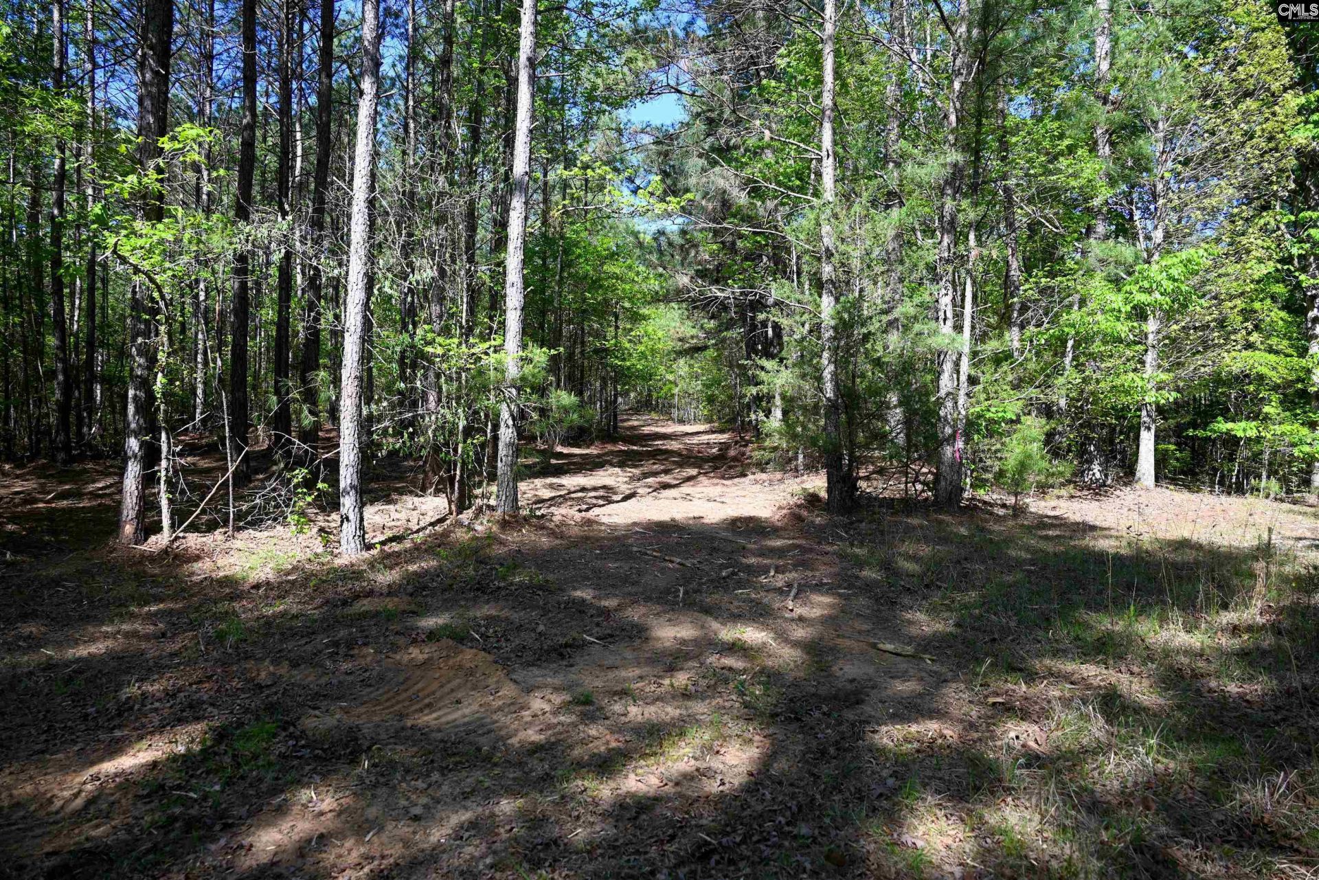 Tbd Spalding Drive Photo 13