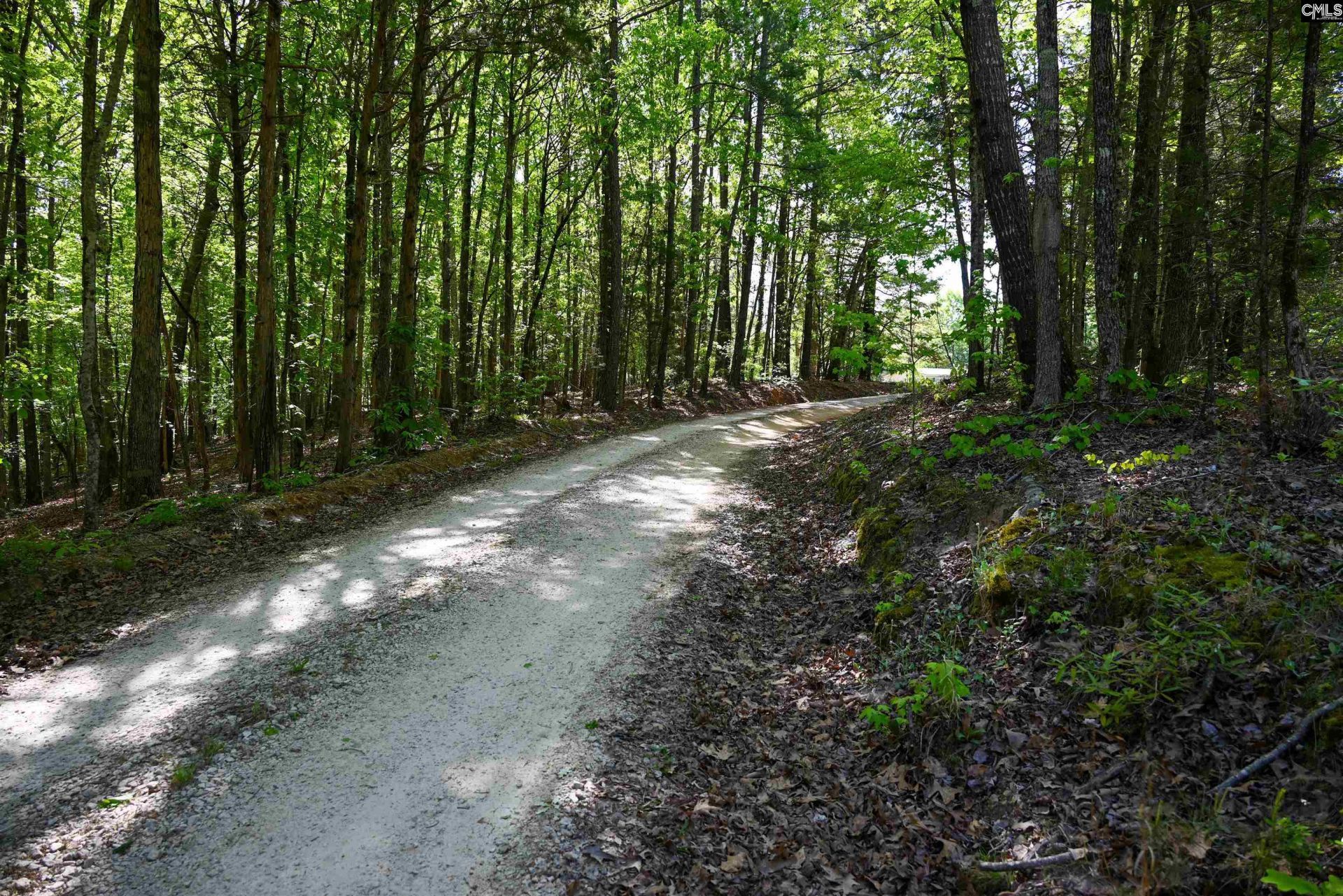 Tbd Spalding Drive Photo 14