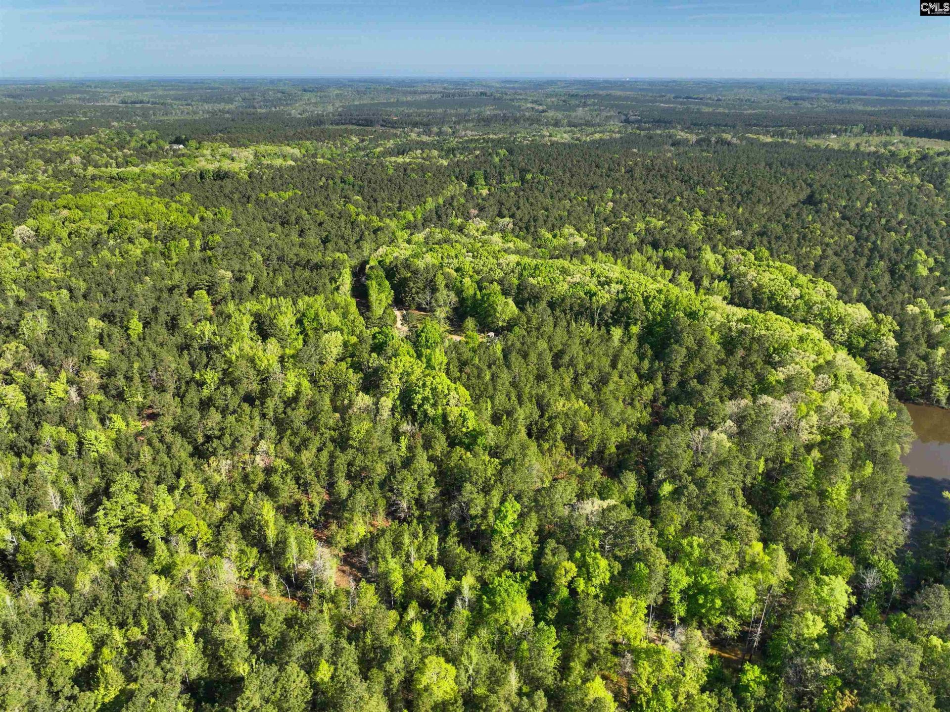 Tbd Spalding Drive Photo 15