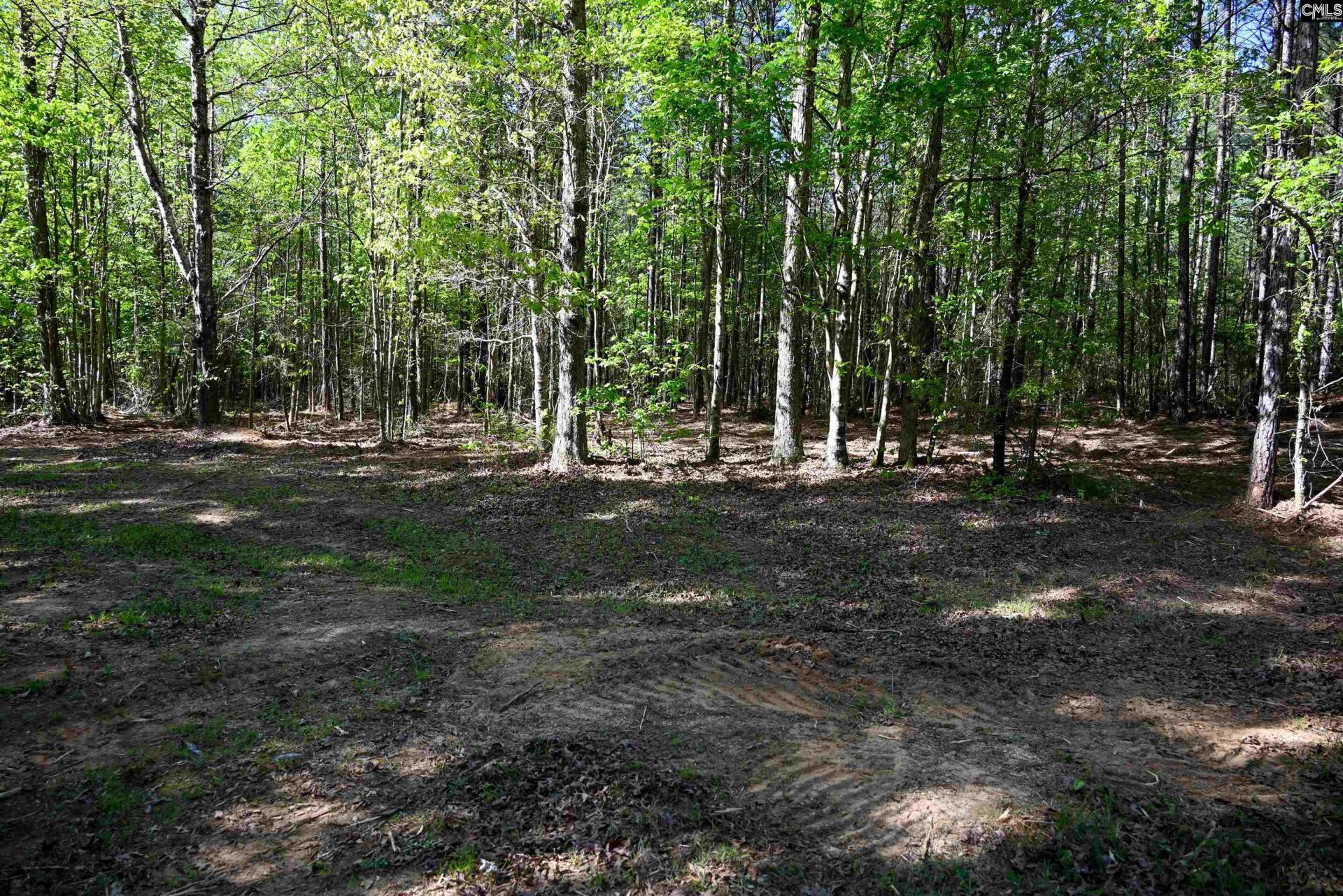 Tbd Spalding Drive Photo 17