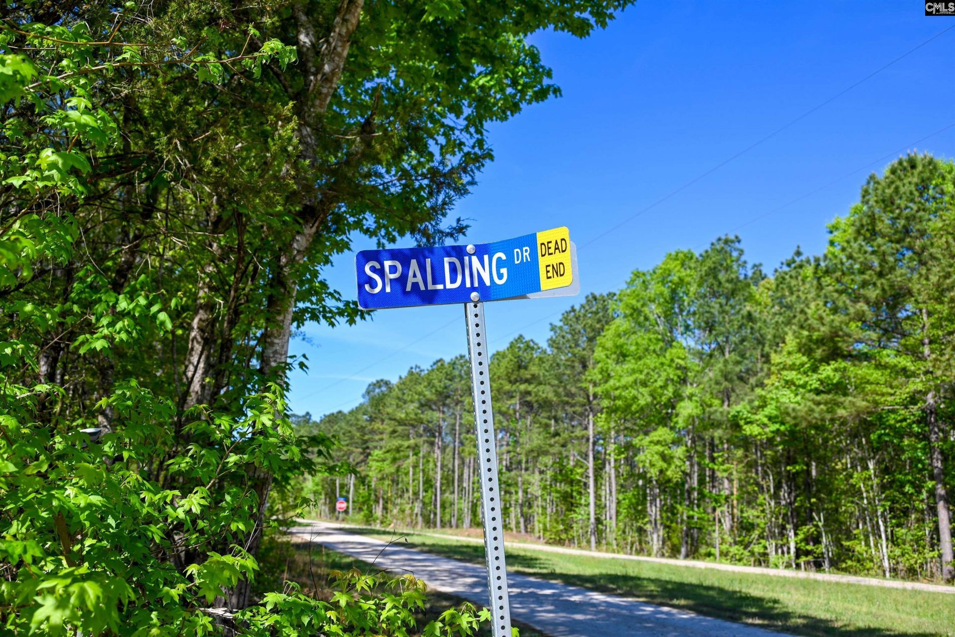 Tbd Spalding Drive Photo 17