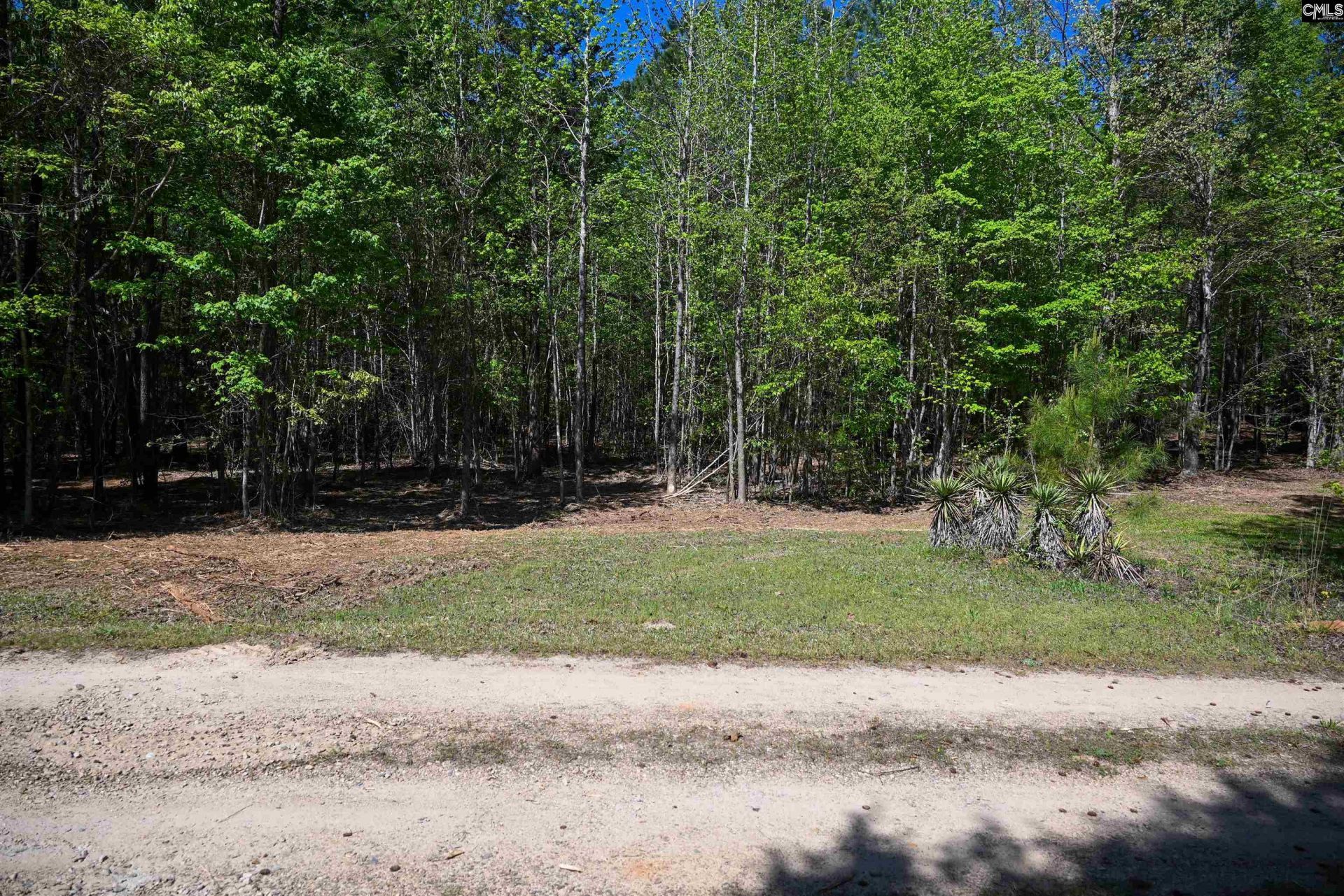 Tbd Spalding Drive Photo 18