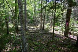 Tbd Spalding Drive photo 4