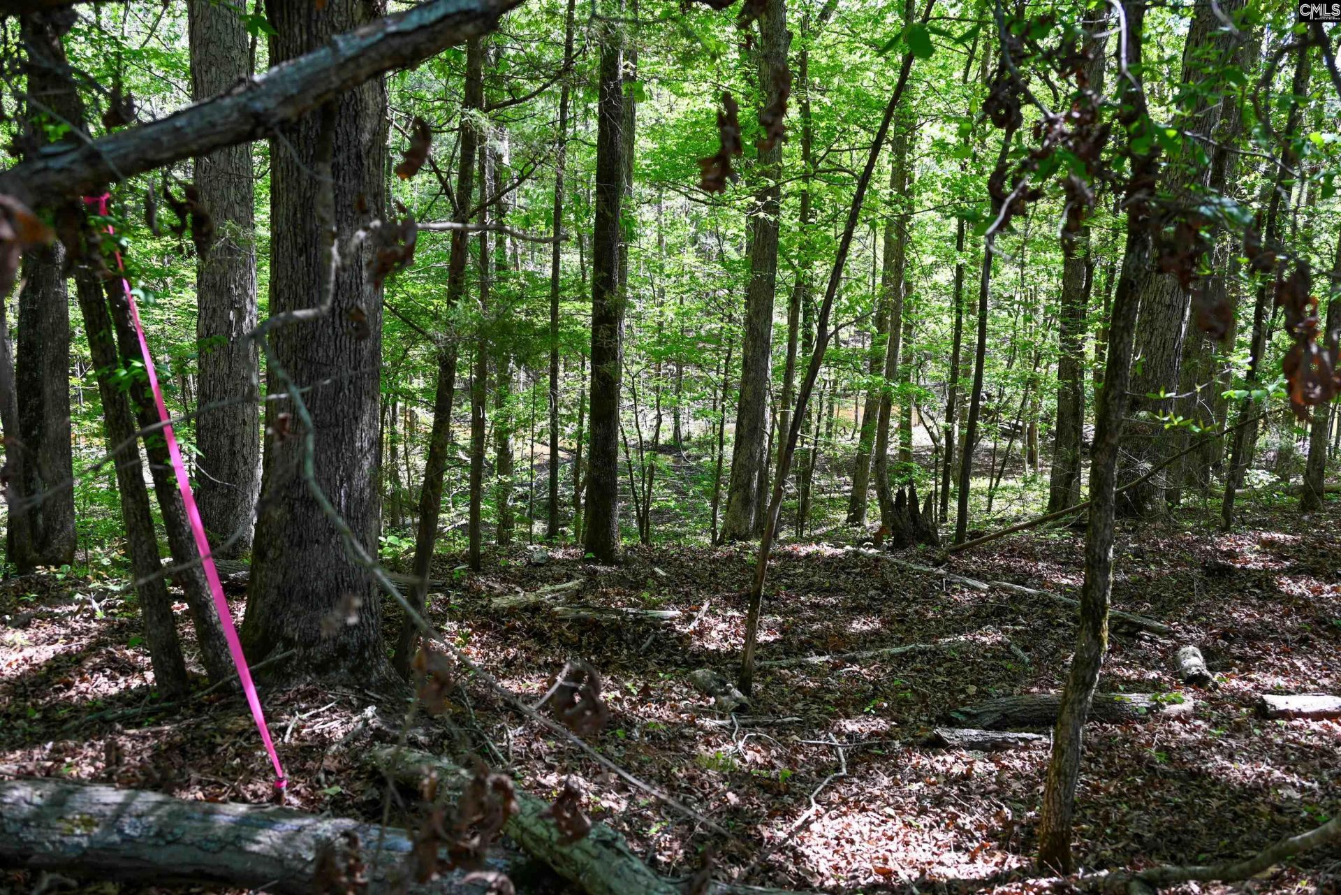 Tbd Spalding Drive Photo 20