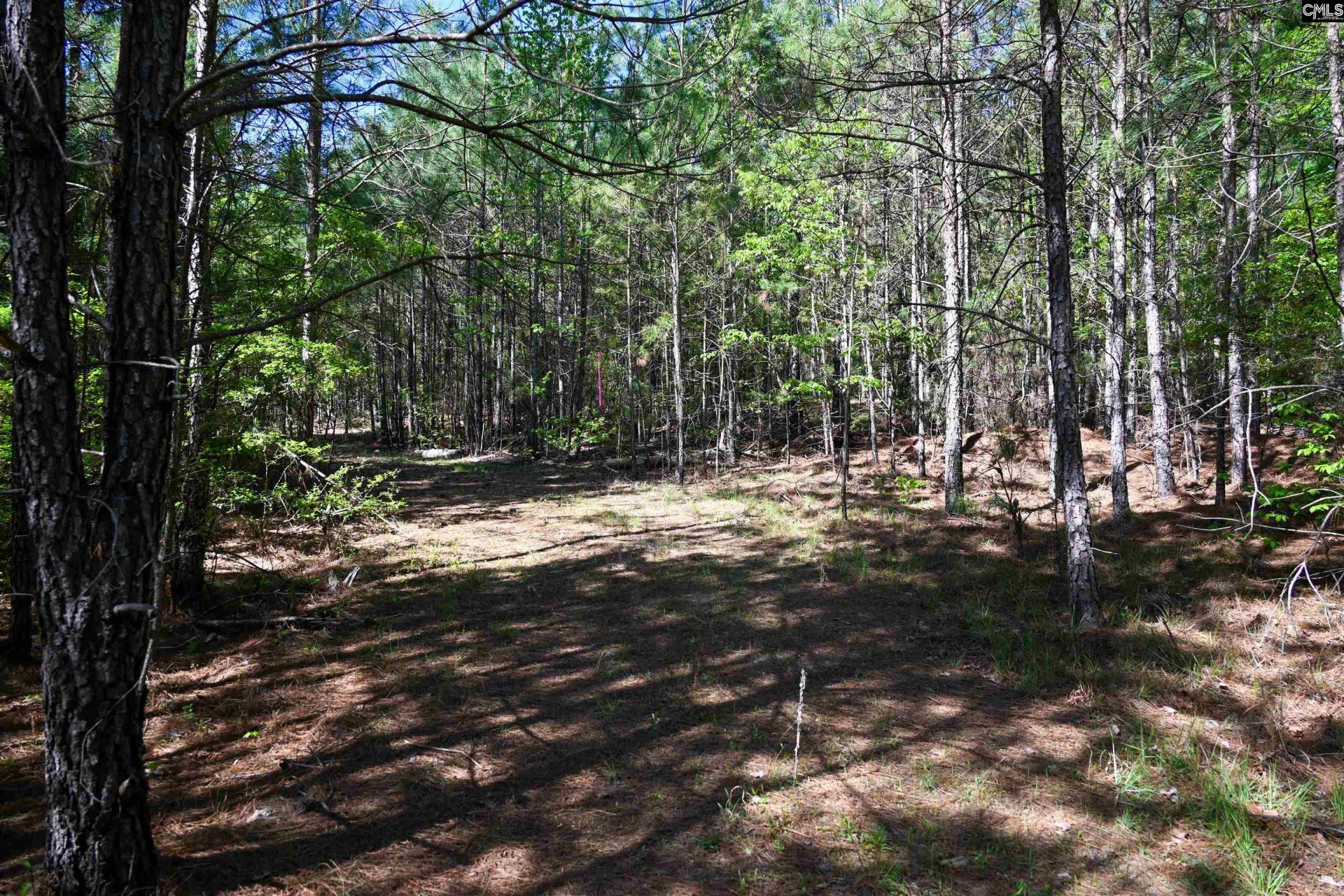 Tbd Spalding Drive Photo 21