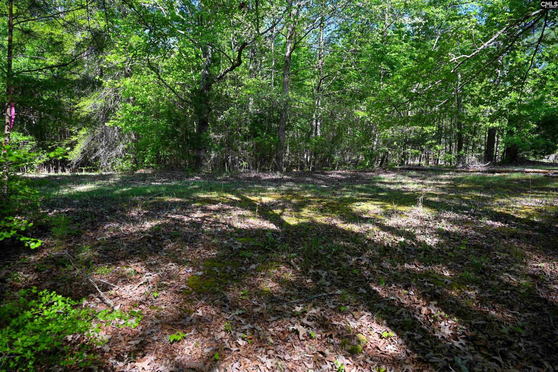 Tbd Spalding Drive Photo 23