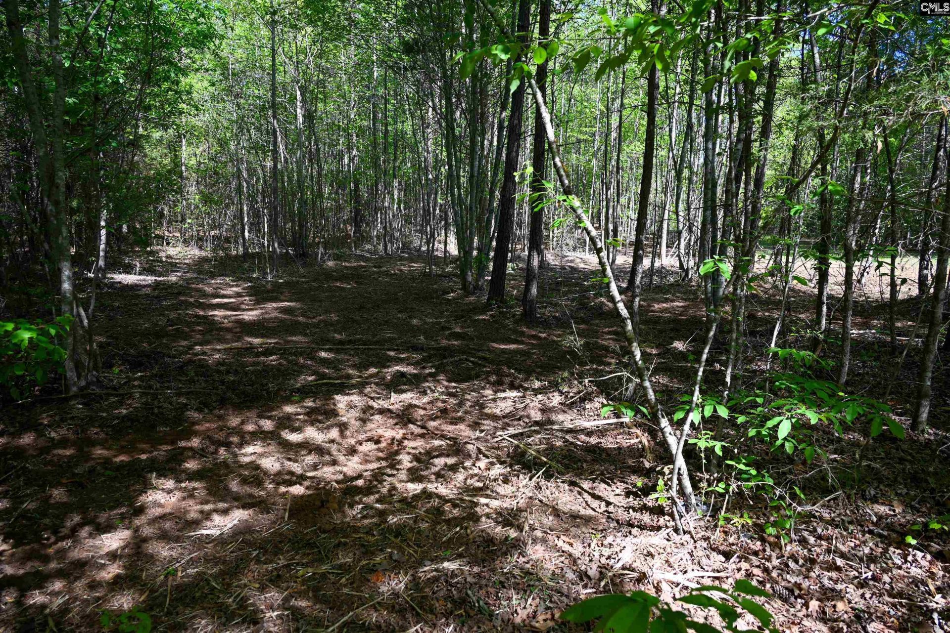 Tbd Spalding Drive Photo 24