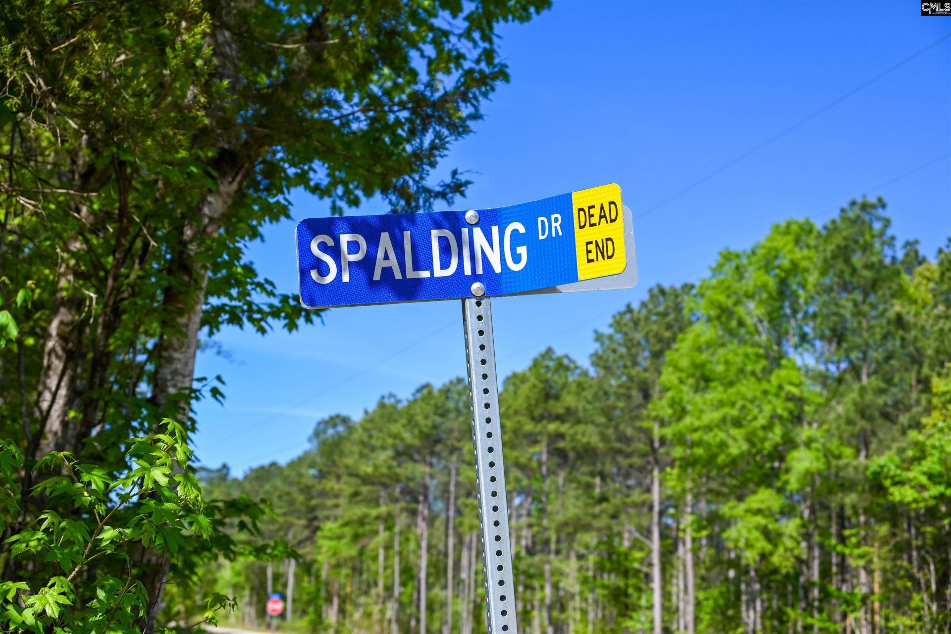 Tbd Spalding Drive Photo 25