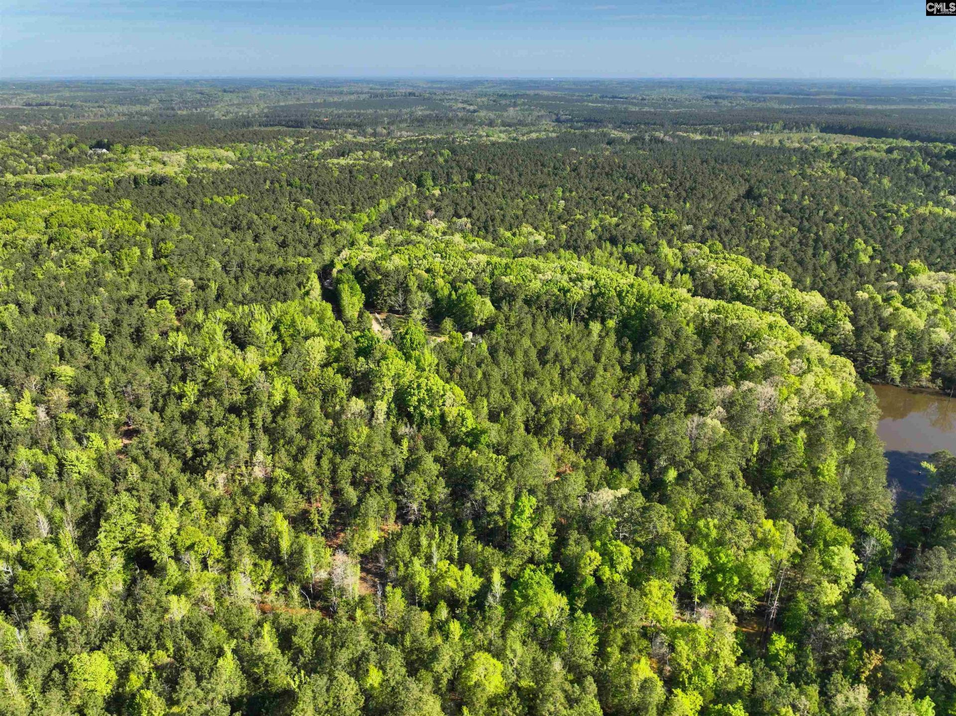 Tbd Spalding Drive Photo 25