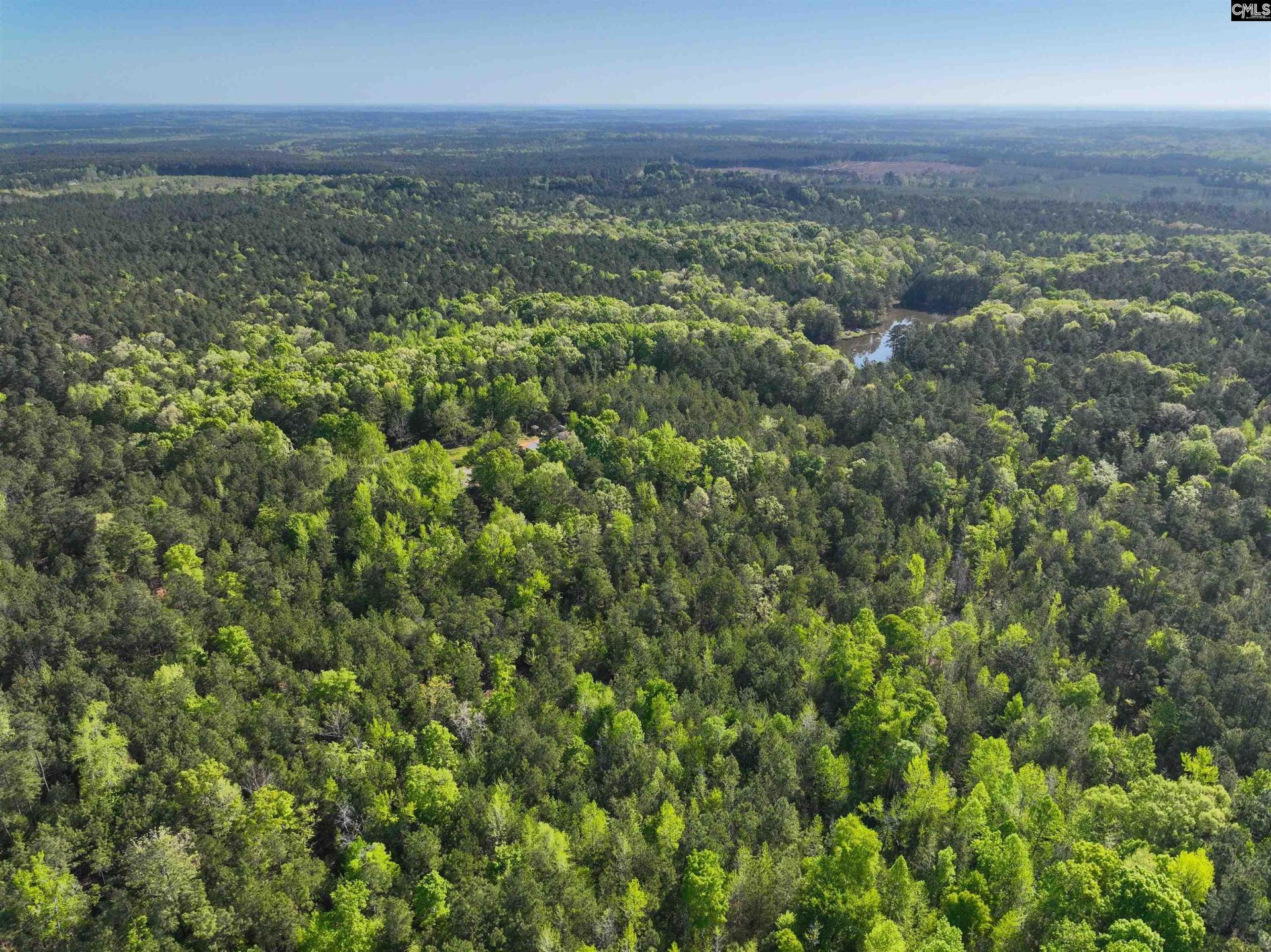 Tbd Spalding Drive Photo 26