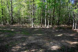 Tbd Spalding Drive photo 4